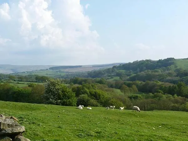 Wenning Bank Villa Clapham  Holiday home