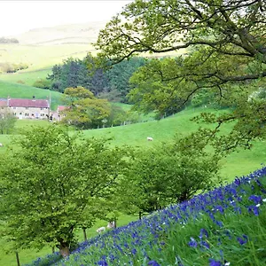 Bluebells Holiday home